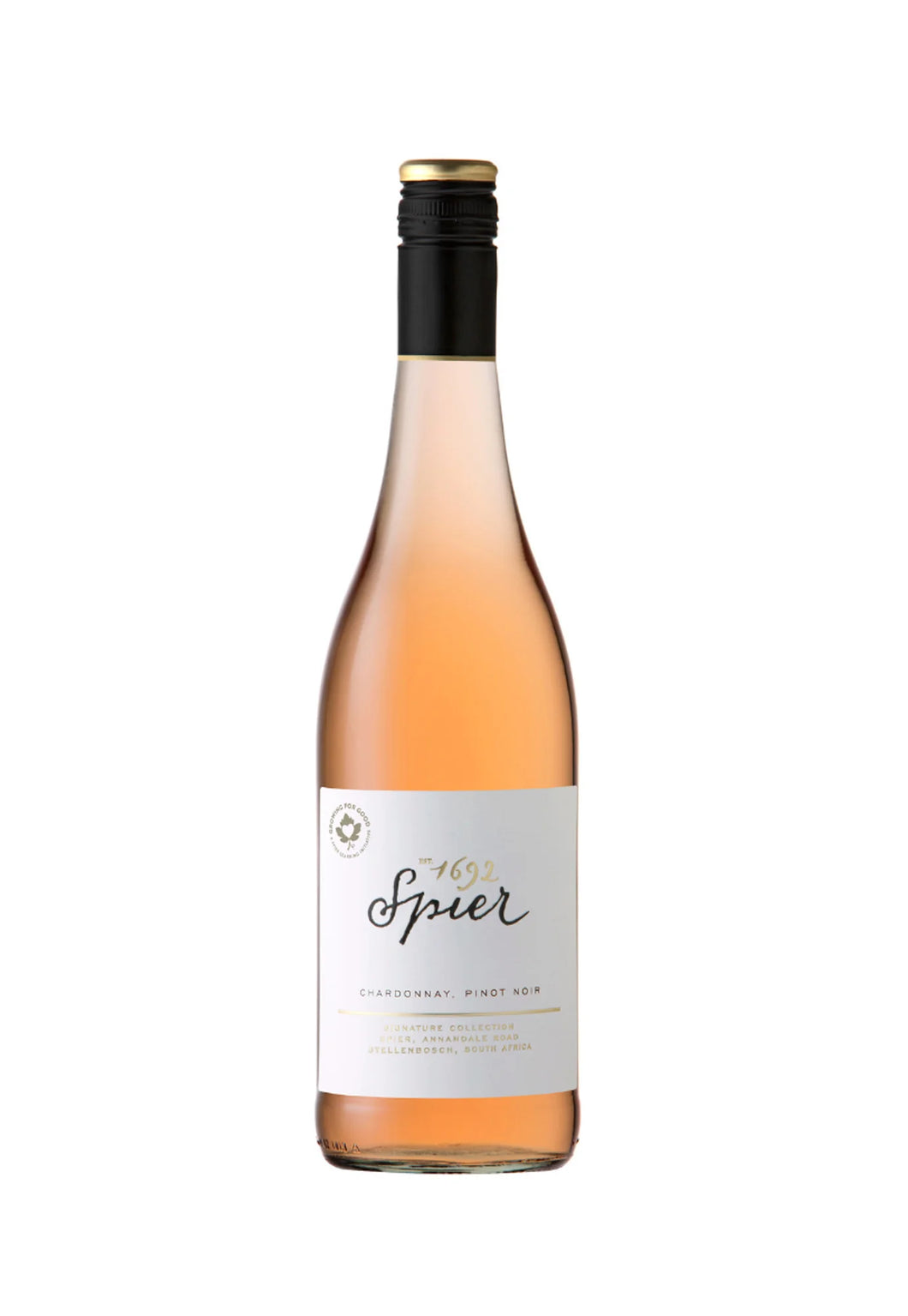 Spier Signature Rose